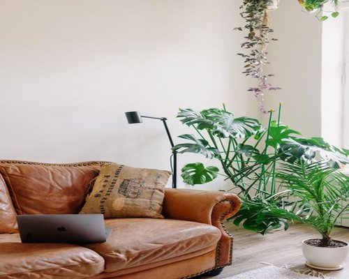 Comfortable office space with plants